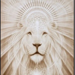 Meet your Posher, Lisal